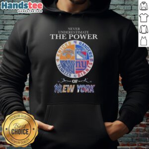 Alt Text: Stylish hoodie featuring a mashup logo of New York Knicks, Rangers, Yankees, and Giants - never underestimate their power!