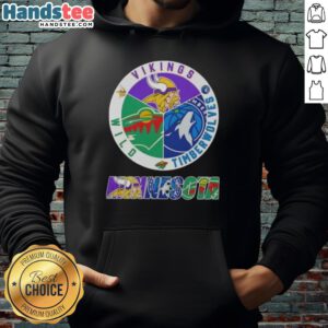 Nice Minnesota City sports hoodie featuring Vikings, Timberwolves, and Wild logos for fans of all three teams.