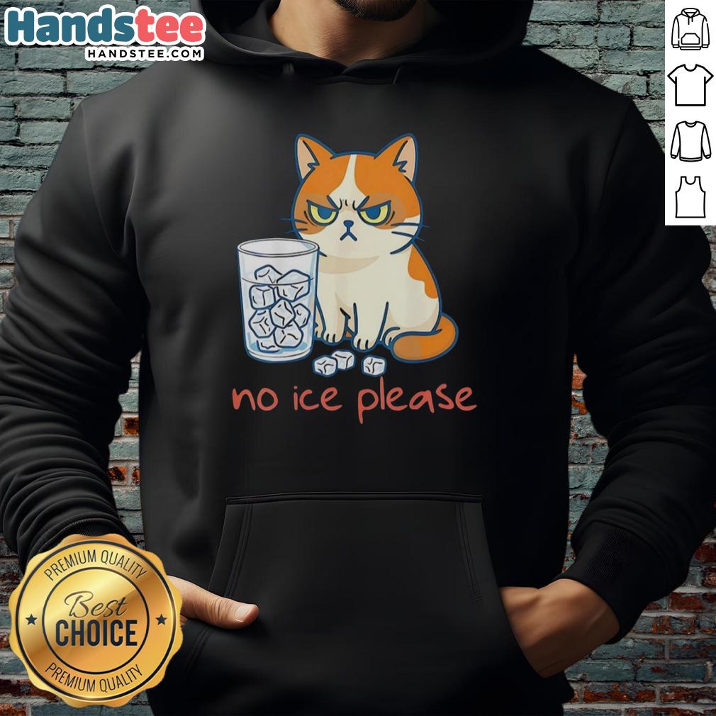 Funny cat in a hoodie humorously protesting against ice, showcasing its adorable expression and playful personality.