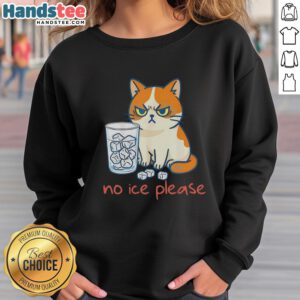 Funny cat wearing a sweatshirt saying 'No Ice Please' against an icy background, perfect for cat lovers and humor fans.