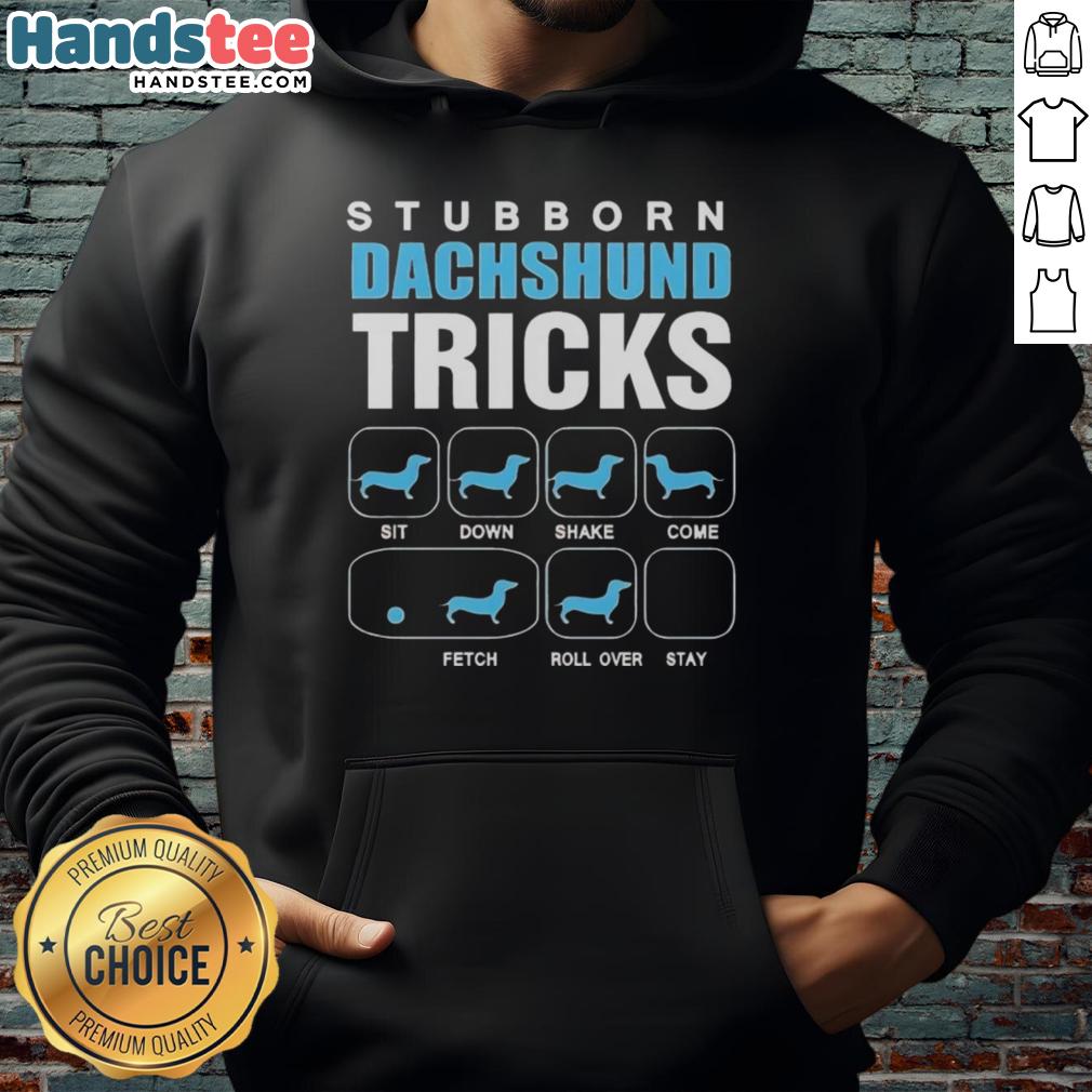 Adorable stubborn Dachshund showcasing tricks while wearing a 'Nice Stubborn Dachshund' hoodie, perfect for dog lovers.