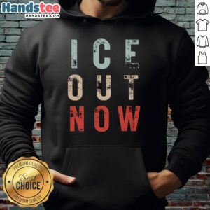 Minneapolis rally featuring activists wearing 'Abolish ICE' hoodies at the Official Ice Out Now event.