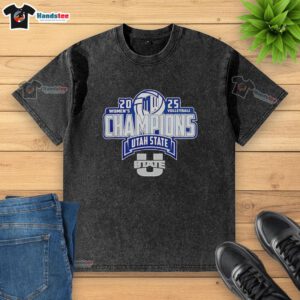 Official Utah State Aggies 2025 Mountain West Women's Volleyball Champions washed t-shirt showcasing team pride.