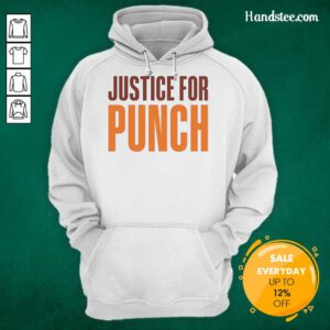 Alt Text: Original Justice For Punch The Monkey Hoodie featuring a vibrant design, perfect for fans of retro gaming fashion.