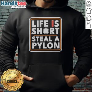Alt Text: Original Life Is Short Steal A Pylon Hoodie in vibrant colors, showcasing a trendy design perfect for casual wear.