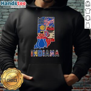 Official Indiana Sports Teams Graphic Transfer State Hoodie showcasing vibrant team logos and Indiana state design.