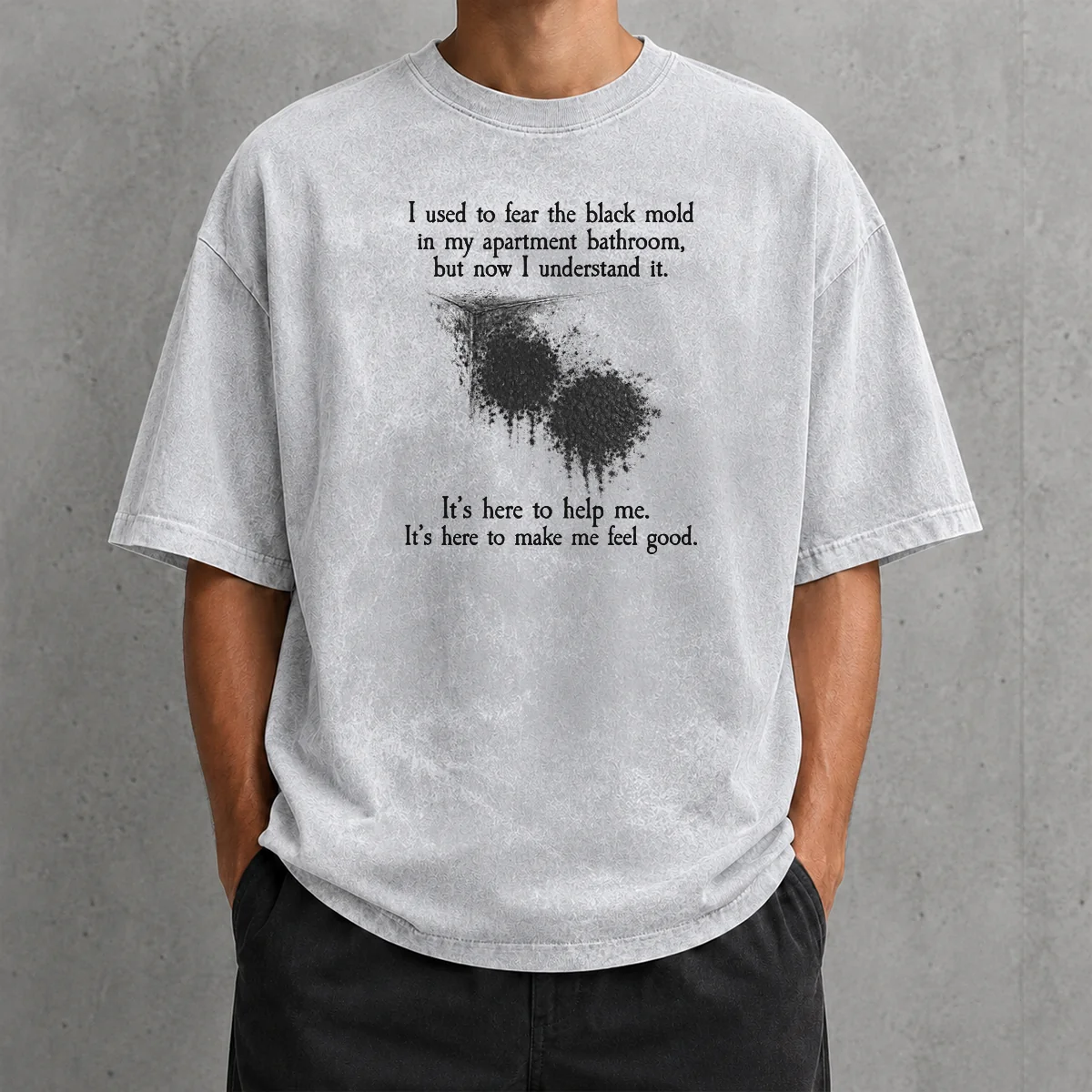 Pretty I Used To Fear The Black Mold In My Apartment But Now I Understand It printed on a soft washed t shirt in light color