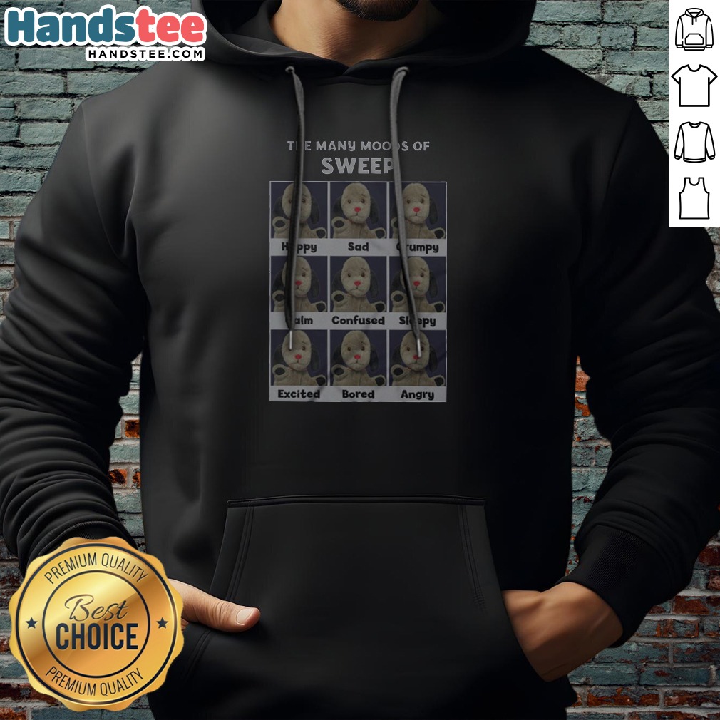 Top Sooty The Many Moods Of Sweep Hoodie featuring colorful character illustrations on a comfortable pullover hoodie