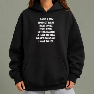 Funny Nice I Came I Saw I Forgot What I Was Doing Hoodie